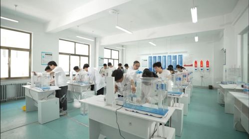 技能啟航未來，職教鑄就夢(mèng)想——蘭州資源環(huán)境職業(yè)技術(shù)大學(xué)旅游信息咨詢服務(wù)專業(yè)建設(shè)探索